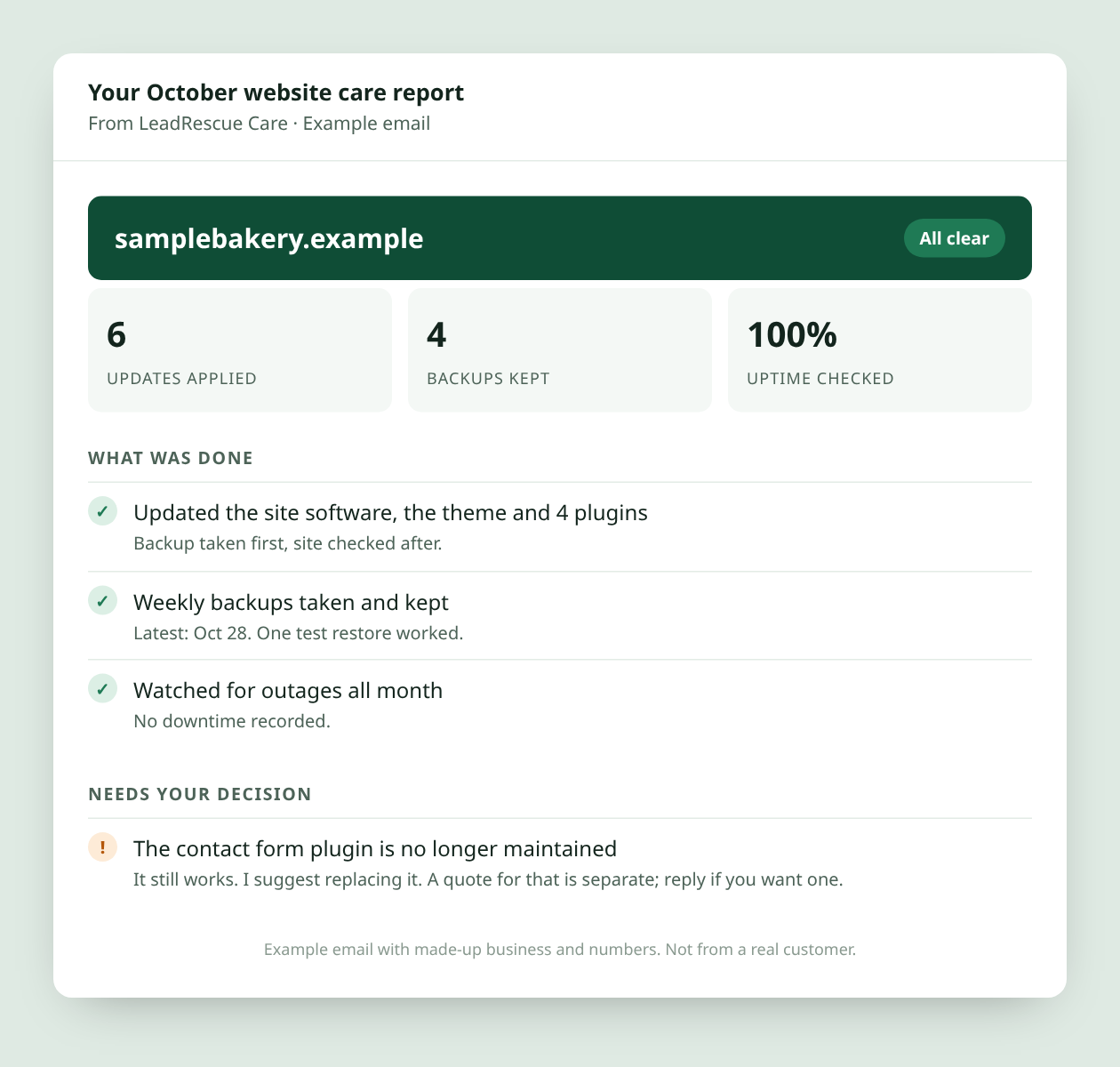 Example monthly care report email showing updates applied, backups kept and one item needing a decision